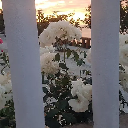 Emiljano Seaview